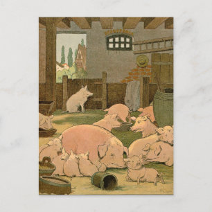 Cartão Postal Suínos e Leitões na Fazenda