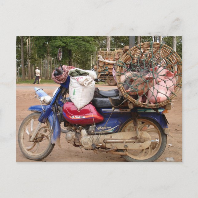 Cartão Postal Suínos em motocicleta-Camboja (Frente)
