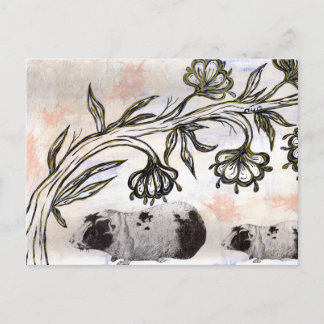 Cartão Postal Suínos-guineenses