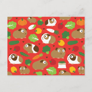 Cartão Postal Suínos-guineenses E Seus Tratamentos