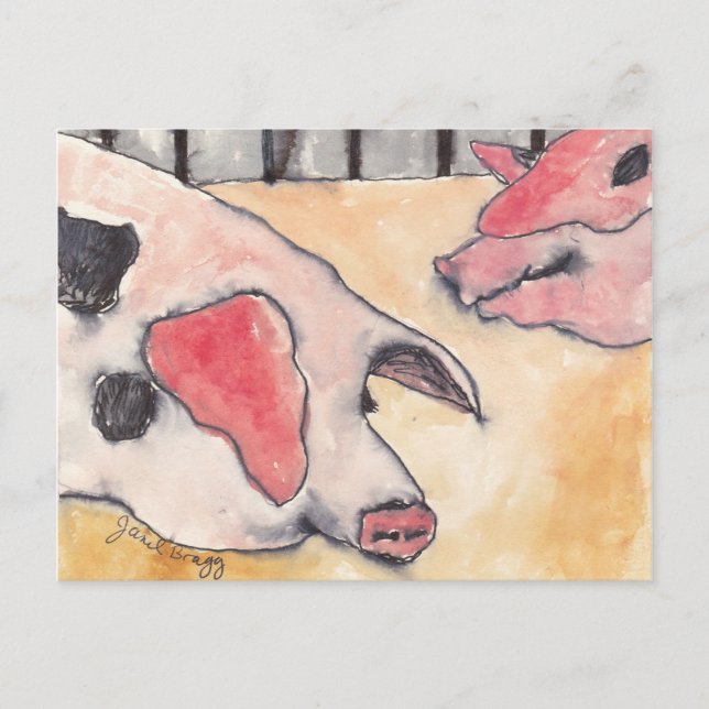 Cartão Postal Suínos na Feira do Condado (Frente)