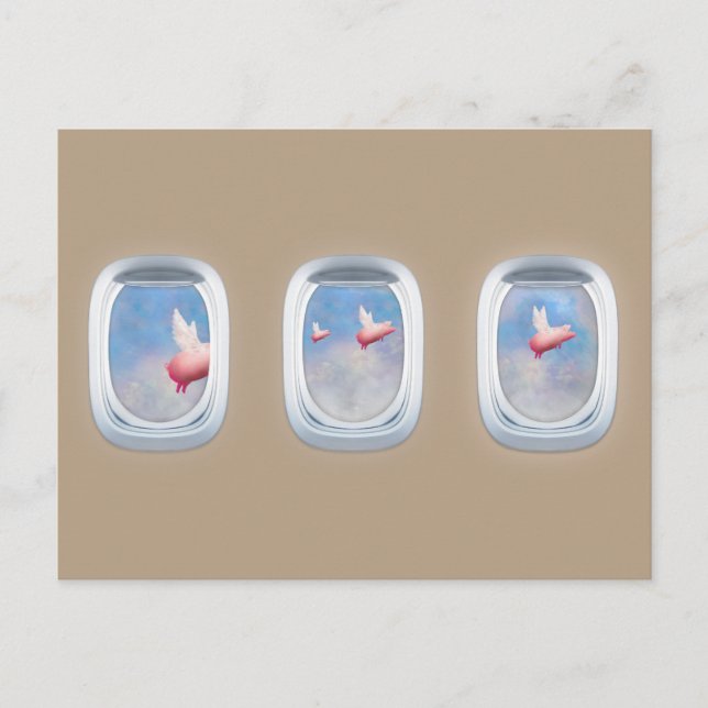 Cartão Postal suínos que sobrevoam janelas de aviões (Frente)