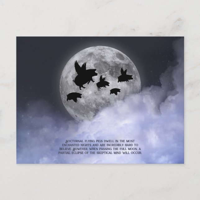 Cartão Postal Suínos voadores nocturnos (Frente)