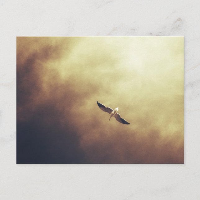 Cartão postal sul-africano "Free Spirit" (Frente)