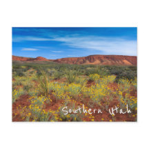 Sul de Utah Wildflower