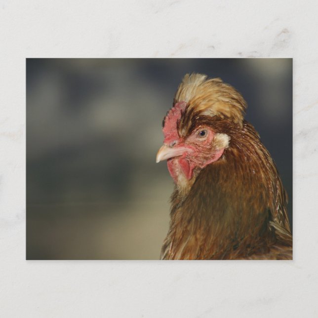 Cartão Postal Sulmtaler (Frente)