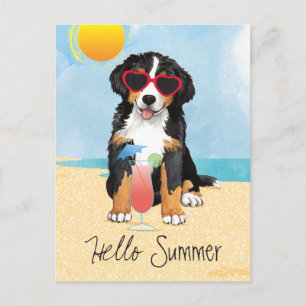Cartão Postal Summer Bernese Mountain Dog