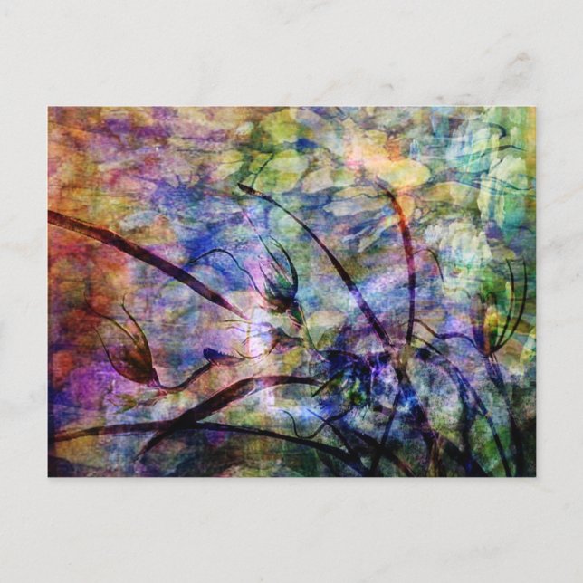 Cartão Postal Summer Breeze (Frente)