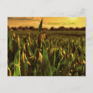 Cartão Postal Summer in Iowa Postcard