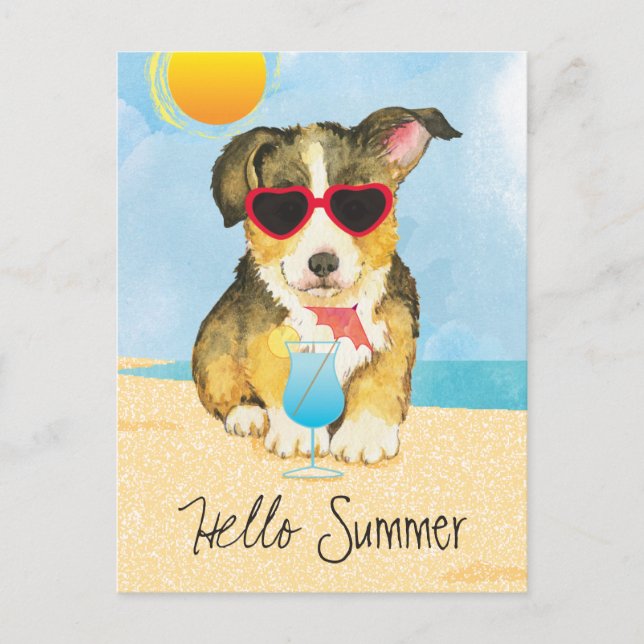 Cartão Postal Summer Pembroke Welsh Corgi (Frente)