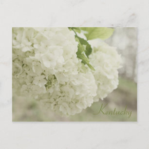 Cartão Postal Summer Snow por JerseyFawn