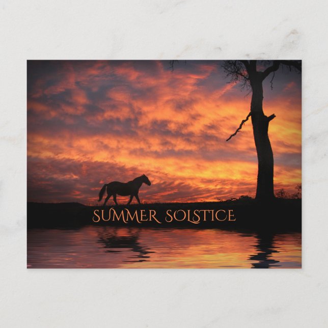 Cartão Postal Summer Solstice Litha Horse e Sunrise (Frente)