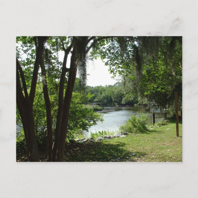 Cartão Postal Summerville, SC (Frente)