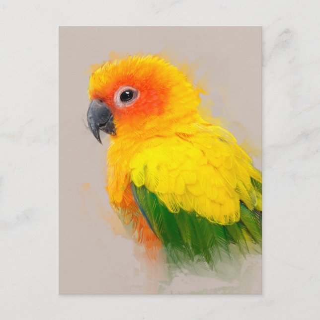 Cartão Postal Sun Conure - Retrato 001 (Frente)