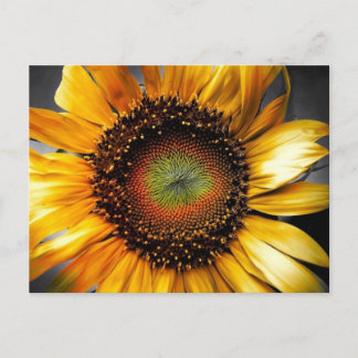 Cartão Postal Sun Flower