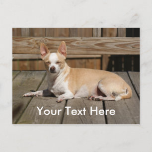 Cartão Postal Sun Goddess