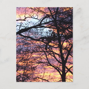 Cartão Postal Sun Rise