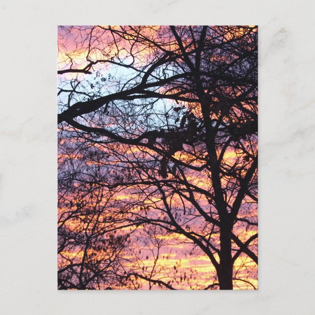 Cartão Postal Sun Rise (Frente)