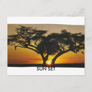 CARTÃO POSTAL SUN SET