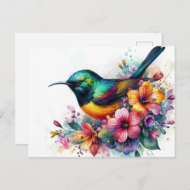 Cartão Postal Sunbird Watercolor Art (Frente/Verso)