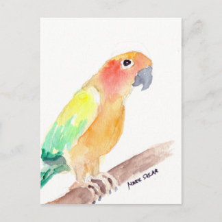 Cartão Postal sunconure2