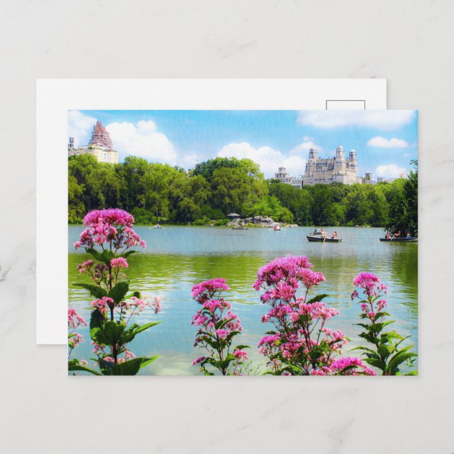 Cartão postal SUNDAY NO PARQUE CENTRAL (Frente/Verso)