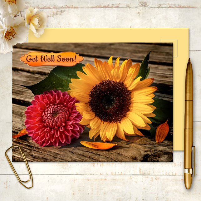Cartão Postal Sunflower Dahlia Cheio ganha cartão-postal em brev (Get Well Soon Postcard featuring a sunflower and dahlia flower on a wood background)