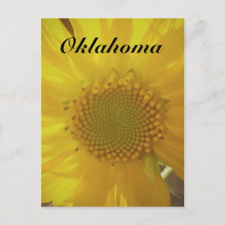 Cartão postal Sunflower de Oklahoma