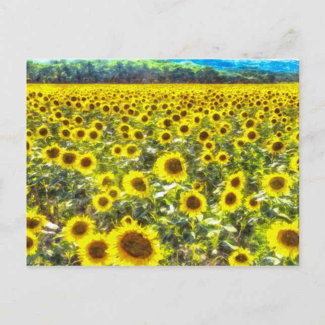 Cartão Postal Sunflower Field Vincent Van Gogh (Frente)