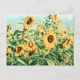 Cartão Postal Sunflower Field Yellow Teal Floral Art Design