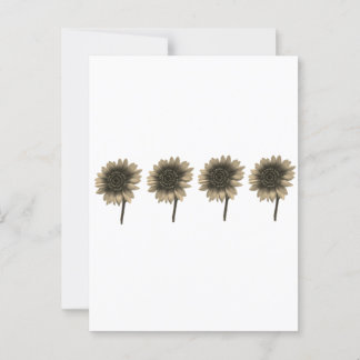 Cartão Postal Sunflower Live, Ria, Amor