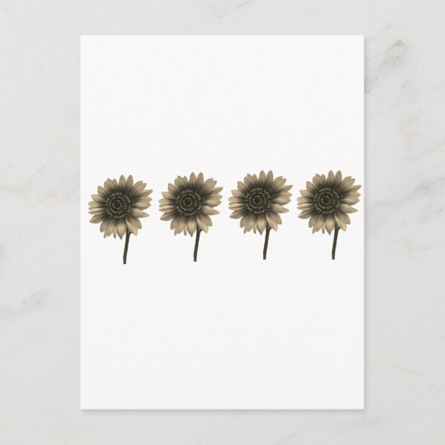 Cartão Postal Sunflower Live, Ria, Amor (Frente)