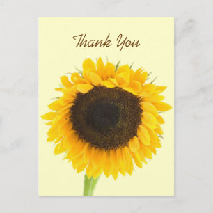 Cartão Postal Sunflower Obrigado Cartão-postal