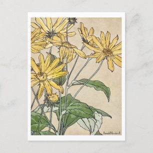 Cartão Postal Sunflower Painting por Hannah Borger Overbeck
