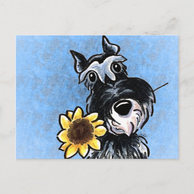 Cartão Postal Sunflower Schnauzer Off-Leash Art™ (Frente)