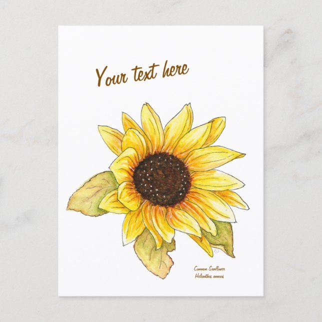 Cartão Postal Sunflower watercolor customizable postcard (Frente)