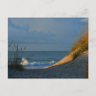 Cartão Postal 'Sunlit'