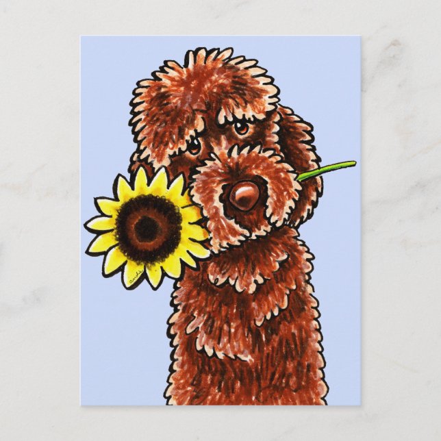 Cartão Postal Sunny Chocolate Labradoodle Off-Leash Art™ (Frente)
