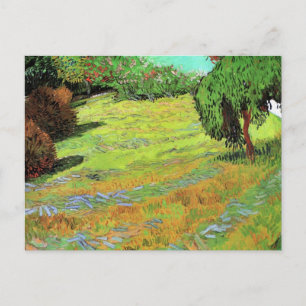 Cartão Postal Sunny Lawn em um Parque Público por Vincent van G