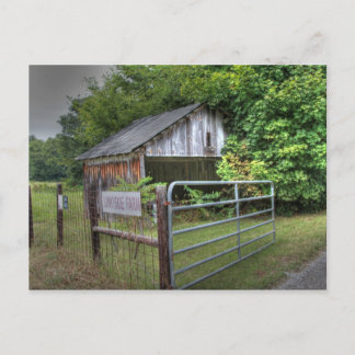 Cartão Postal Sunnyside