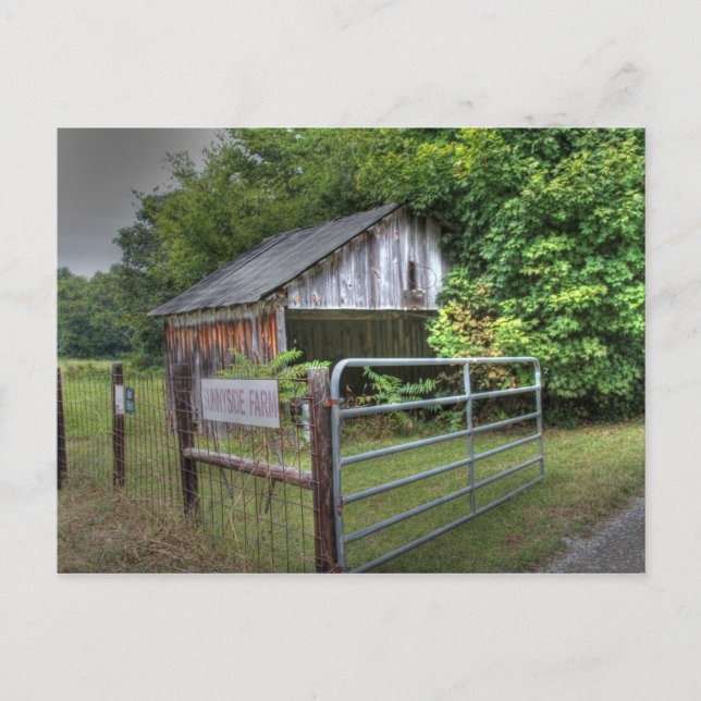 Cartão Postal Sunnyside (Frente)