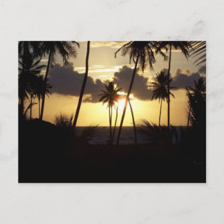 Cartão postal Sunrise