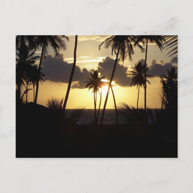 Cartão postal Sunrise (Frente)
