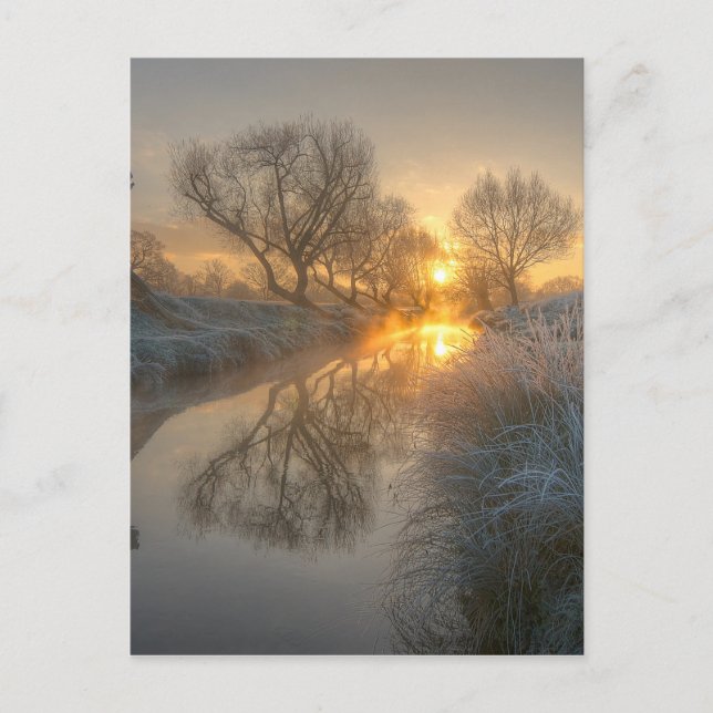 Cartão Postal Sunrise burns off the early morning mist (Frente)