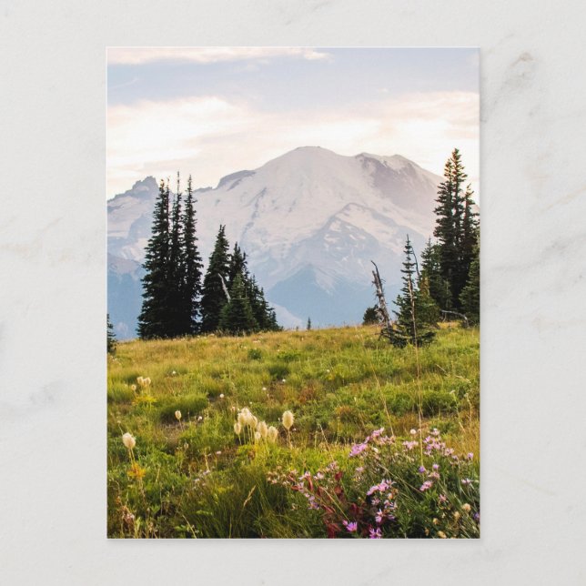 Cartão Postal Sunrise Mt. Rainier Gifts (Frente)
