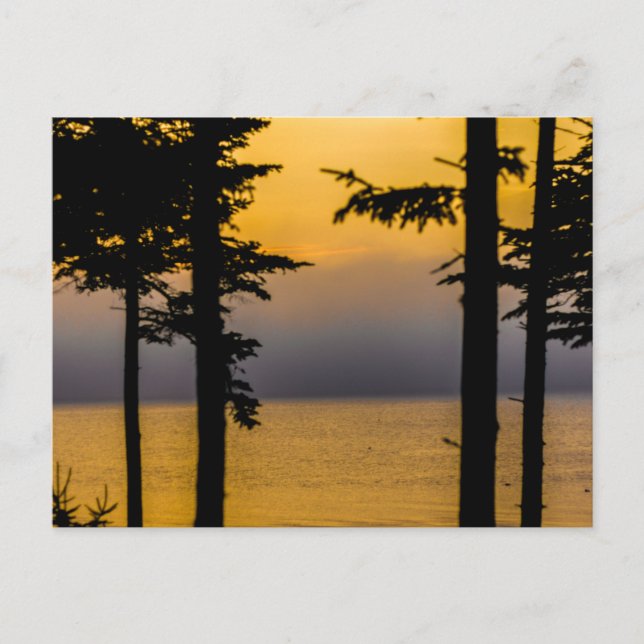 Cartão Postal Sunrise na Baía de Gouldsboro, Maine (Frente)