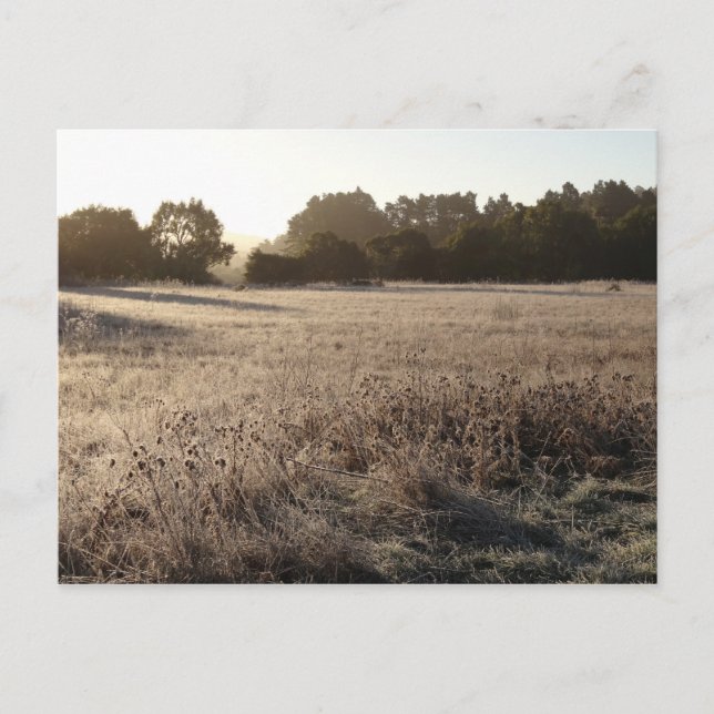 Cartão Postal Sunrise na paisagem da Trailhead do Vale do Urso (Frente)