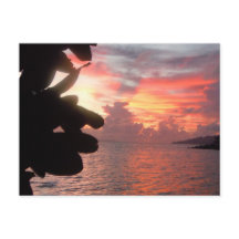 Sunrise on South Pacific Island >Postcard