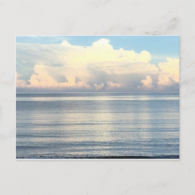 Cartão postal Sunrise Palm (Frente)