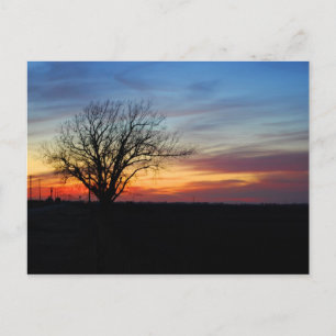 Cartão Postal Sunset